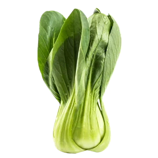 小青菜蔬菜素材免扣