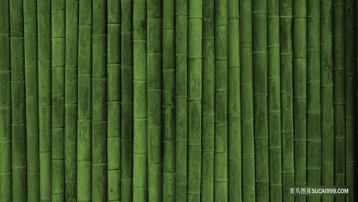 毛竹排列密集的竹子背景