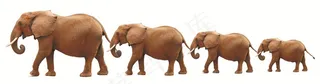四头大象一头接一头的大象图片