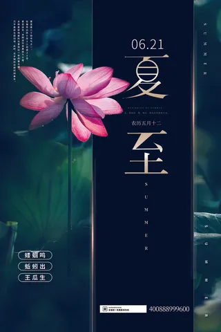 深色高档大气夏至节日海报