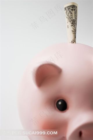 纸币塞进小猪存钱罐图片