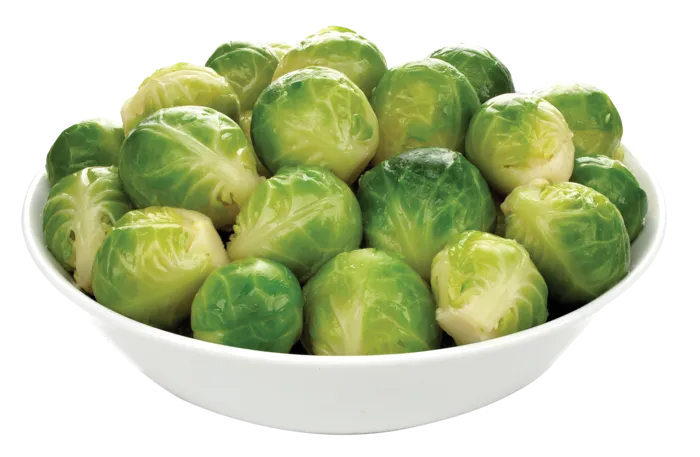 包心菜蔬菜
