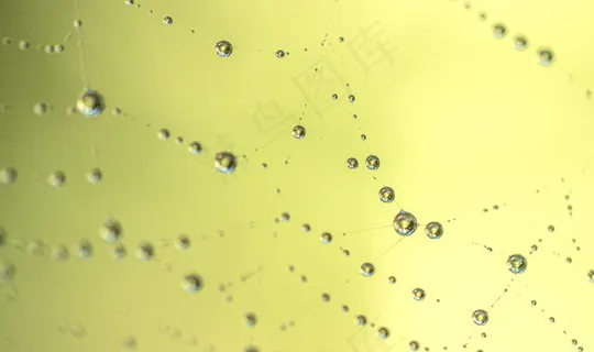 黄色背景唯美水珠图片 黄色背景唯美水珠图片