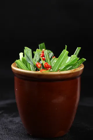 L01844小缸韭菜 (1)