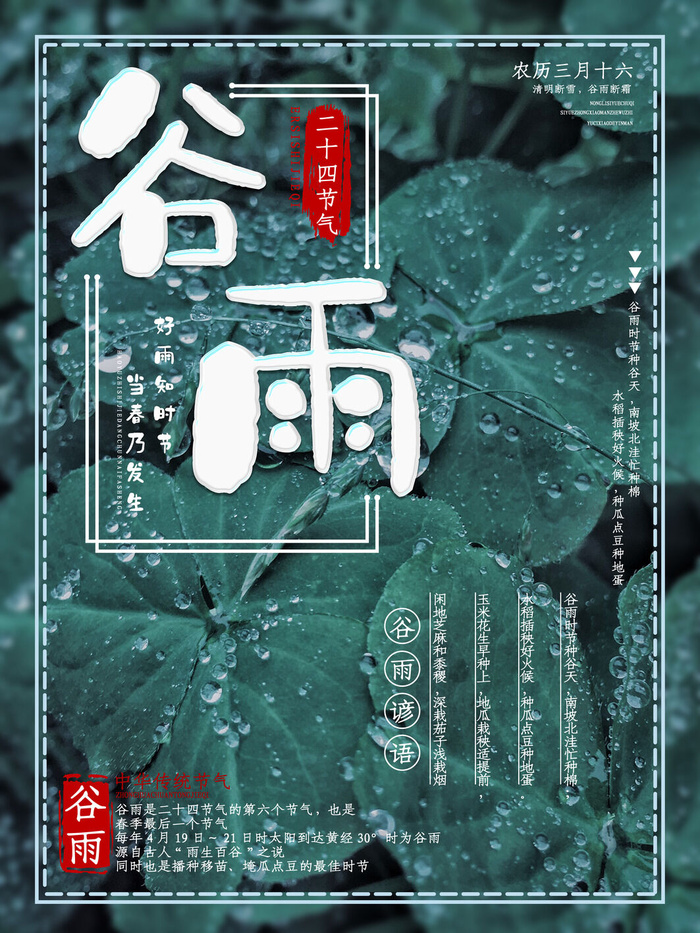 谷雨二十四节气海报设计psd模版下载