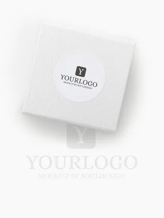 LOGO展示效果样机