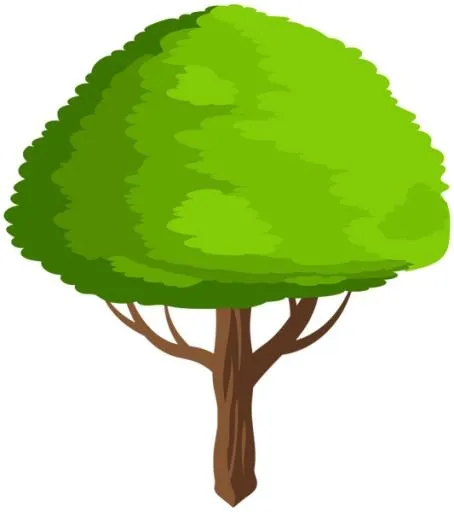树PNG免抠(533x600)