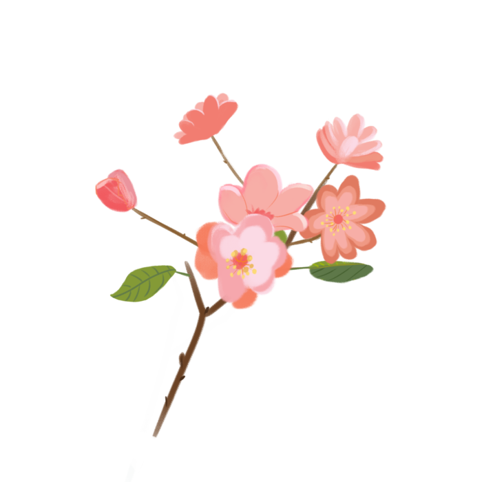 春天浪漫粉红色樱花手绘樱花梅花桃花花朵图片PNG免扣素材