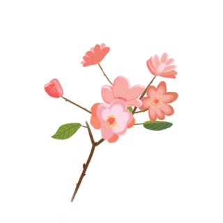 春天浪漫粉红色樱花手绘樱花梅花桃花花朵图片PNG免扣素材