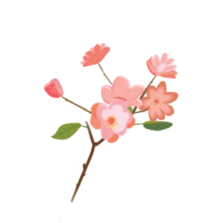 春天浪漫粉红色樱花手绘樱花梅花桃花花朵图片PNG免扣素材