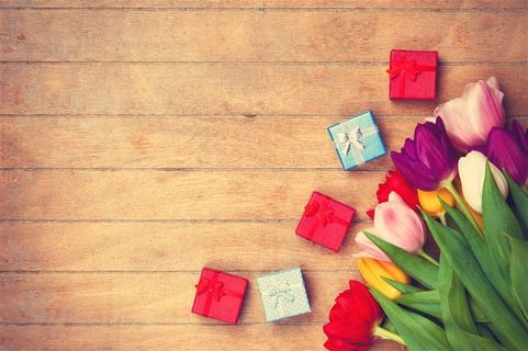 唯美花朵特写郁金香木板写真