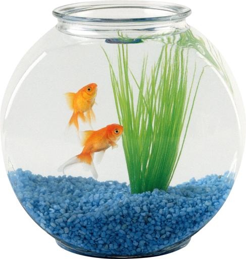 水族馆 PNG免抠