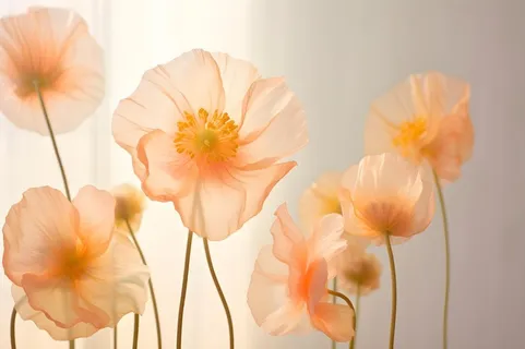 鲜花粉色唯美意境摄影