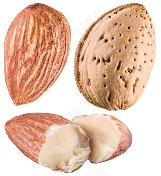 大杏仁巴旦木高清图片