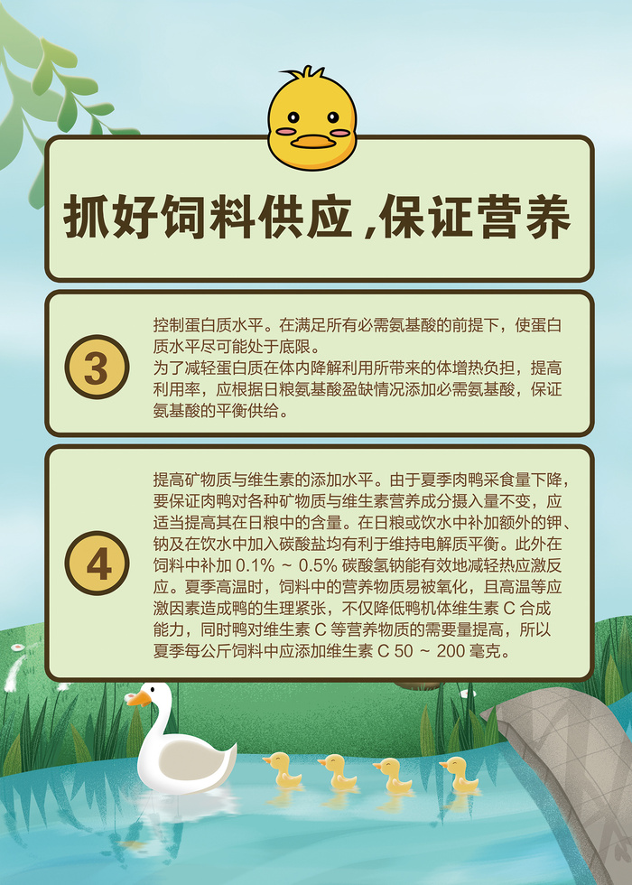 夏季肉鸭饲养管理技术