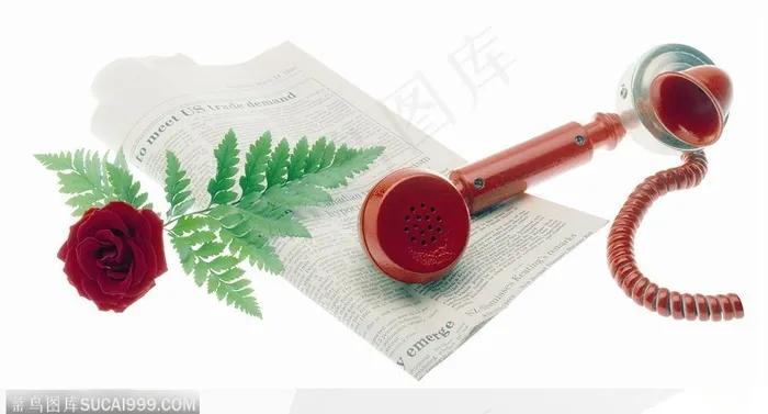 花饰小品-红色玫瑰旁的电话