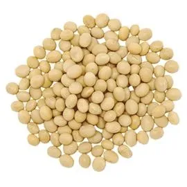 大豆 PNG免抠(270x270)