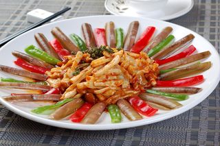 XCXC1937茴香圣子皇