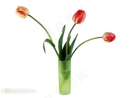 郁金香花瓶摄影素材