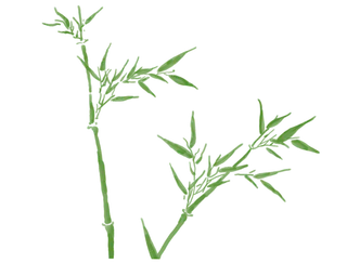 竹子水墨画中国风国画墨水书法竹子画