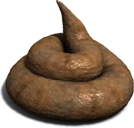 大便 PNG免抠(437x417)