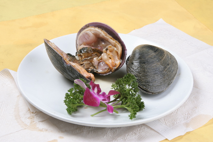 天鹅胆