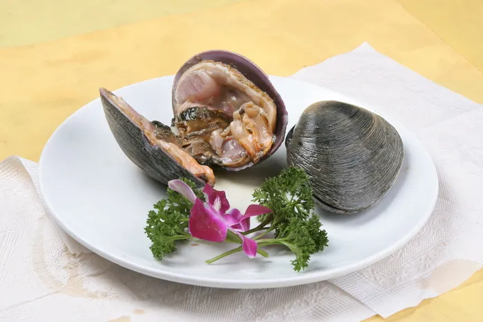 天鹅胆