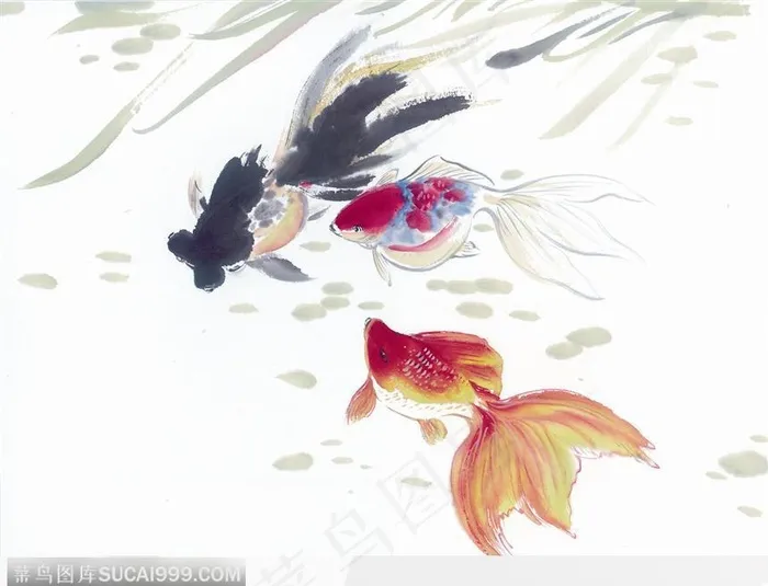 水墨画—鲤鱼