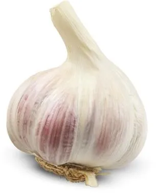 大蒜免抠(305x377)