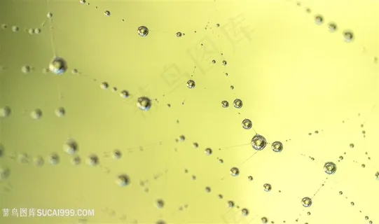 水珠背景素材 水珠背景素材