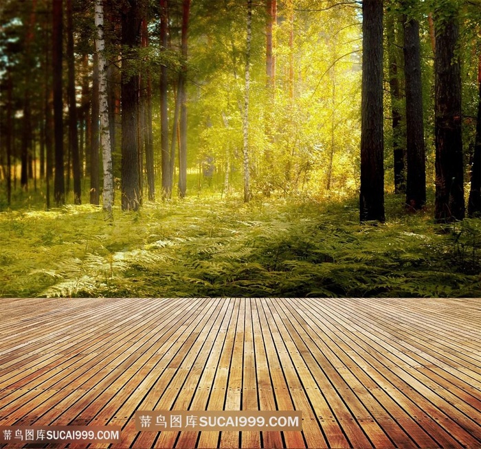 木板和绿色树林