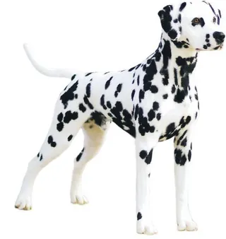 达尔马提亚 PNG 狗图像免抠