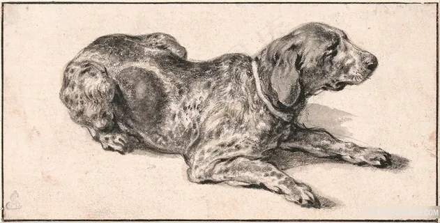 卧犬高清装饰画