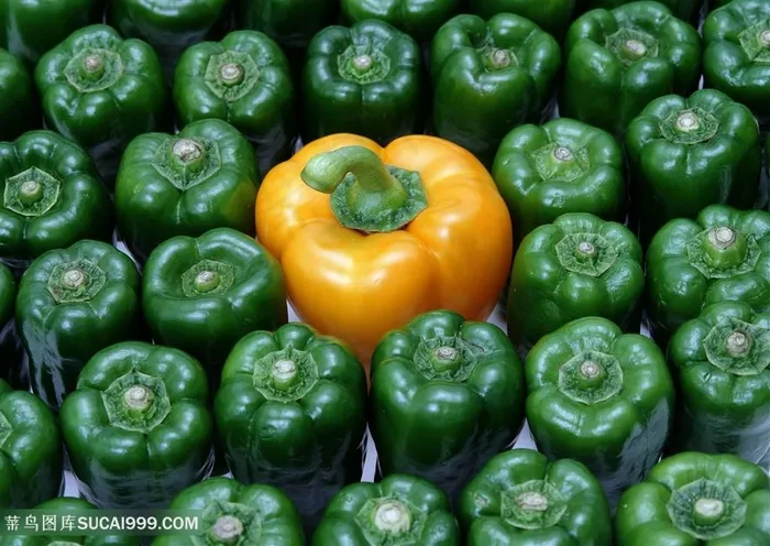 蔬菜菜椒图片