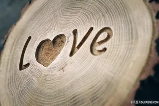 雕刻在木头上love
