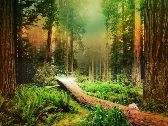 图片设计素材背景炫光背景