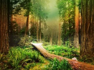 图片设计素材背景炫光背景