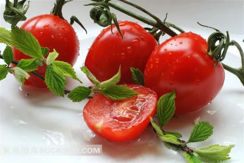 香茄系列 - 新鲜水灵的番茄