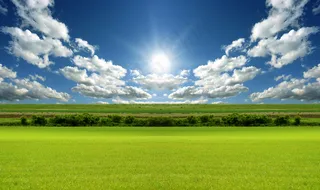 绿色田野图片下载