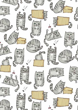 懒惰慵懒灰色小花猫