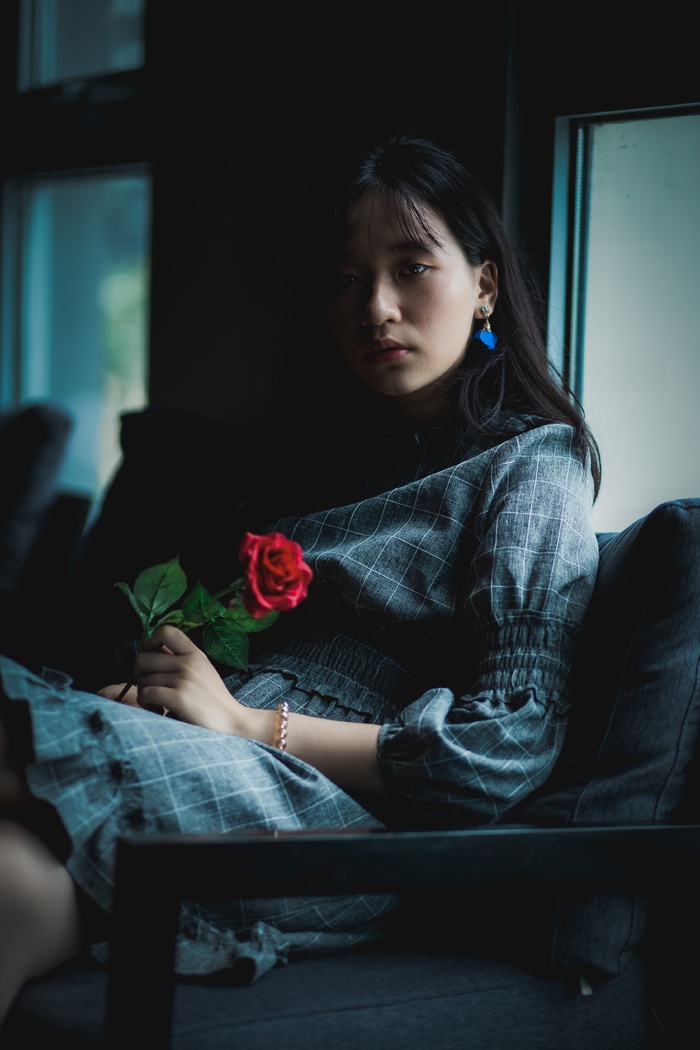玫瑰花摄影图情人节玫瑰花配图图片
