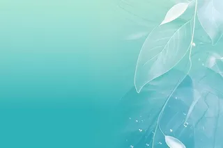 树叶露珠青色大气意境背景