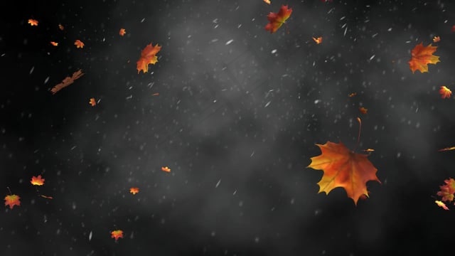 暴风雪, 风, 雨, 树叶, 叶子, 秋天