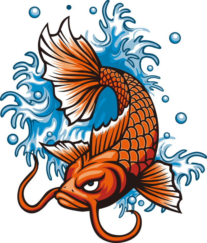 锦鲤图片PNG