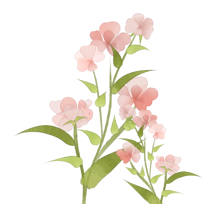 唯美二十四节气夏季插画元素