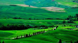 唯美高清山林树林森林