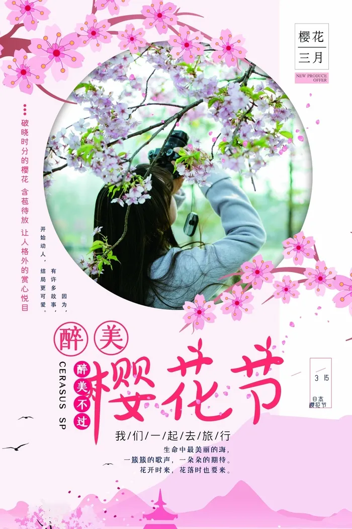 樱花节 樱花活动海报psd模版下载