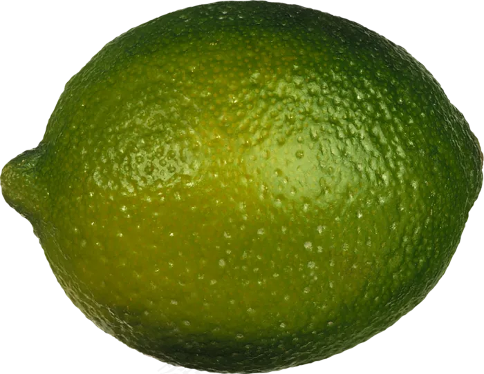 青柠檬免抠素材 (4)