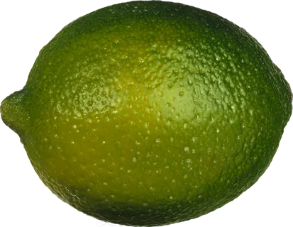 青柠檬免抠素材 (4)