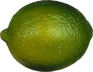 青柠檬免抠素材 (4)